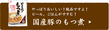 国産豚もつ煮